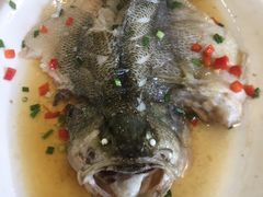 蒸鲈鱼-金怡酒店