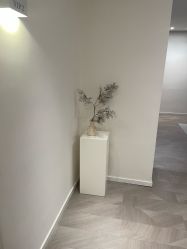 -七岛美学