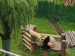 -沈阳森林动物园
