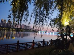 -长白岛森林公园
