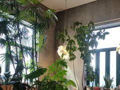 -山茶云南菜(永安里店)