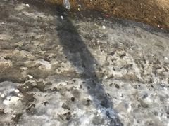 -北京亚布洛尼朝阳公园滑雪场