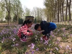 -东郊湿地公园