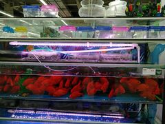 -欧尚(江阳中路店)