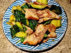 黄瓜猪头肉-金谷园饺子馆(北邮总店)