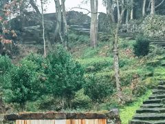 -唐崖土司城遗址