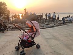 -宝安西湾红树林湿地公园