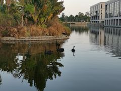 -厦门国家会计学院