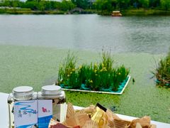 -杭州湾海上花田景区
