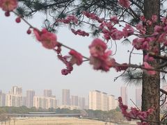-白塘生态植物园