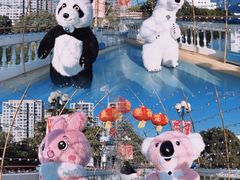 -温州乐园