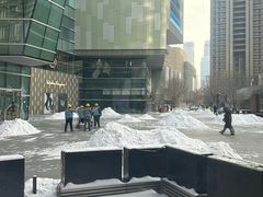 -Canada Goose加拿大鹅(沈阳万象城店)