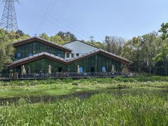 -西湖风景区-江洋畈生态公园