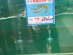 -南海渔家•海鲜•正宗海南菜(海棠湾店)