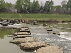 -洨河生态公园