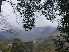 -缙云山景区