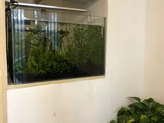 大堂-茶庐(百花洲路店)