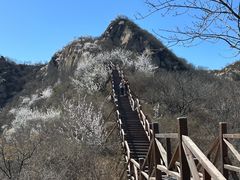-大岭沟猕猴桃谷风景区