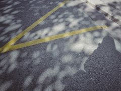 -花神咖啡馆
