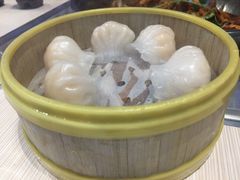 虾饺-胖锅轩(水塔店)