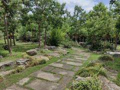 -上海海湾国家森林公园