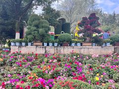 -青藏高原野生动物园