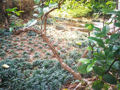 -广州神农草堂中医药博物馆