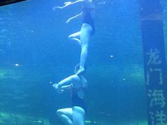 -洛阳龙门海洋馆