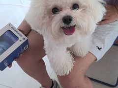 -瑞派福兴宠物医院犬猫全科·骨科·中西医结合(河东店)