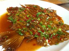 醋煎多宝鱼-山东宾馆·齐鲁苑餐厅