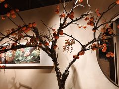 -佬肥猫(国华广场店)