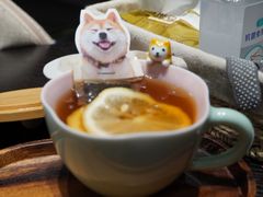 -逗柴咖啡屋·狗咖猫咖宠物桌游