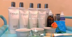 -东方美美容SPA会所