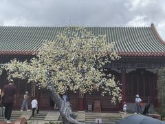 -珠海圆明新园