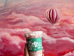-南澳岛打卡果汁冰公司