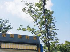 -杭州湾海上花田景区