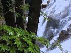 -丹东天桥沟景区