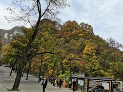 -尧山风景区