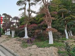 -武汉紫薇都市田园