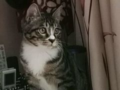 -达爱动物医院·犬猫分区·CT·复杂眼科(远洋山水分院)