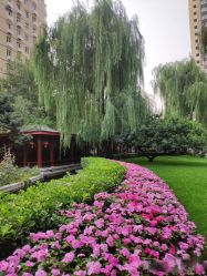 点击看大图 -琅悦月子会所(香格里拉旗舰店)