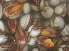 -宾朋海鲜特色美食餐厅·纯手工鲅鱼水饺(兴海路店)