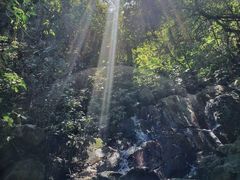 -梧桐山风景名胜区