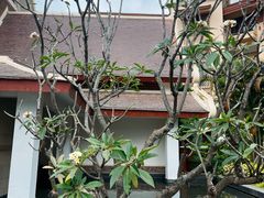 -西双版纳总佛寺