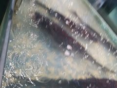 -森谷美食公园(杨行店)