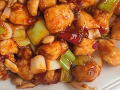 宫保鸡丁-鑫巴蜀小镇 · 水煮鱼专研店(玉桥店)