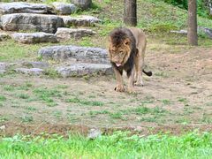 -北京野生动物园