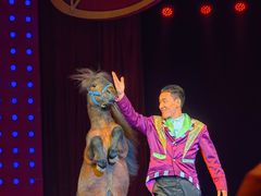 -珠海横琴长隆《卡卡虎奇遇记》