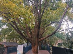 -苏州河梦清园环保主题公园