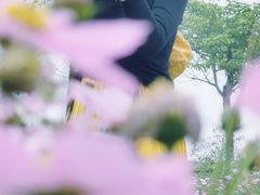 -天适樱花悠乐园